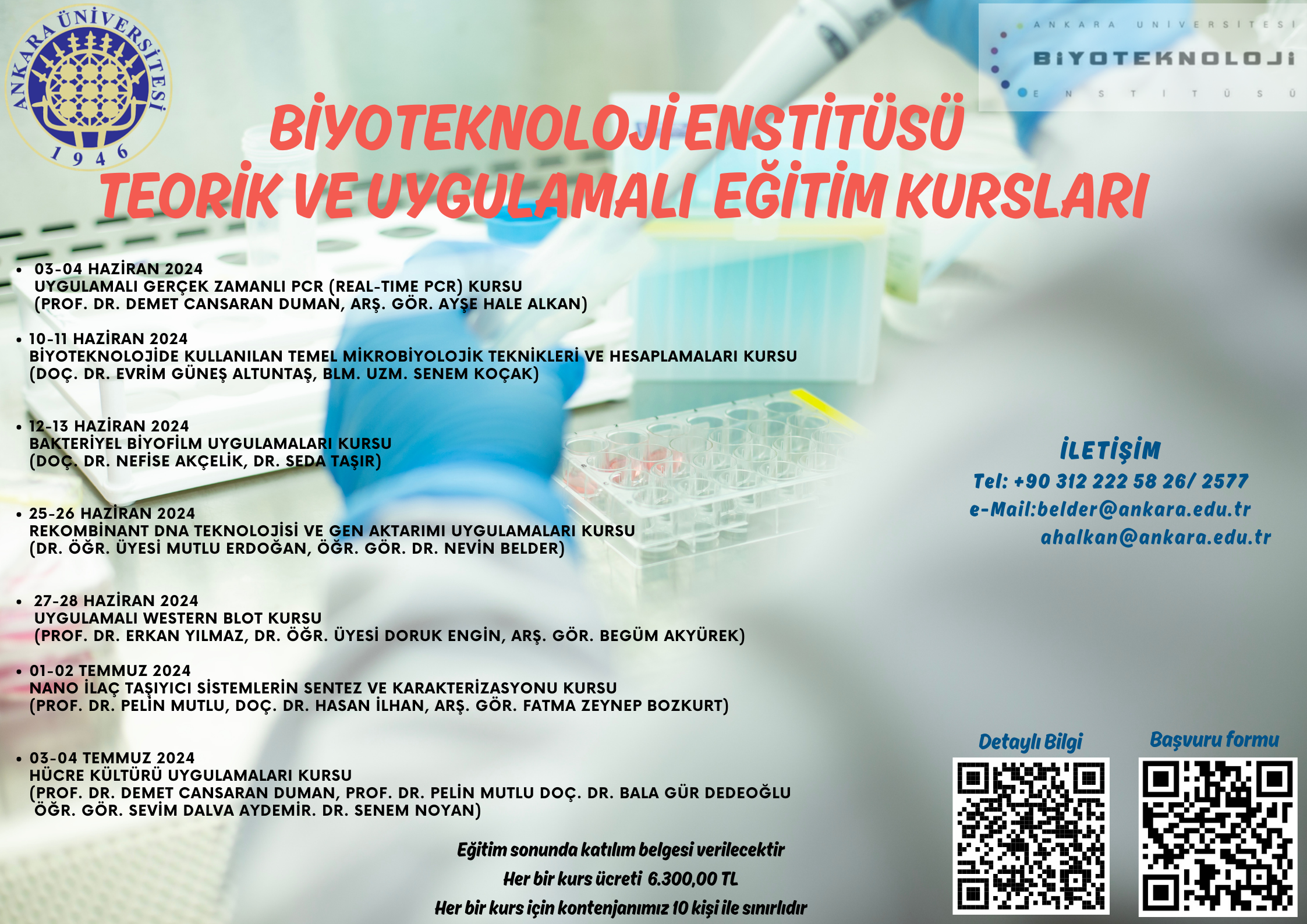Afiş
