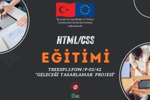 Afiş